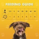 Pet Munchies Large Buffalo Dental Chew, Healthy, Natural and Long-Lasting Dog Treats, Grain Free and Low in Fat 90g - Image 5