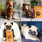 Pet Munchies Large Buffalo Dental Chew, Healthy, Natural and Long-Lasting Dog Treats, Grain Free and Low in Fat 90g - Image 4