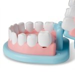Melissa & Doug Super Smile Dentist Kit for Kids Role Play Toys for 3+ Year Old Girls Educational Toys for 3 Year Old Boys Montessori Kids Toys Age 3,8.89 x 27.18 x 34.29 centimeters - Image 7