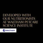 Sheba Fine Flakes in Jelly – Fish Collection – Wet cat food pouches for adult cats – 40x85g pack - Image 4