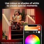 Philips Hue White & Colour Ambiance Discover Outdoor Floodlight, Smart Outdoor Lighting with App and Voice Command, Adjustable Garden Light - Image 3