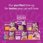 WHISKAS Adult Wet Cat Food in Jelly 40x85g Poultry Feasts - Image 3