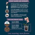 Orchid Potting Mix 4L - Image 4