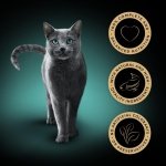 Sheba Fine Flakes in Jelly – Fish Collection – Wet cat food pouches for adult cats – 40x85g pack - Image 13