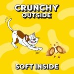 DREAMIES - Cat Treats - 12 x 60g - Multipack Biscuits - Variety Snack Box - 12 Pouches - Image 7