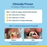 ProDen PlaqueOff Powder for Dogs & Cats, Tartar & Bad Breath Remover 100% Natural Teeth Cleaner and Plaque Remover 60 g - Image 5