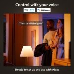 Philips Hue White & Colour Ambiance Discover Outdoor Floodlight, Smart Outdoor Lighting with App and Voice Command, Adjustable Garden Light - Image 6