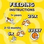 DREAMIES - Cat Treats - 12 x 60g - Multipack Biscuits - Variety Snack Box - 12 Pouches - Image 5