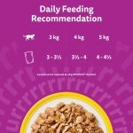 WHISKAS Adult Wet Cat Food in Jelly 40x85g Poultry Feasts - Image 9