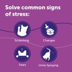 FELIWAY Classic 30 Day Cat Calming Odourless Refill for Pheromone Diffuser, 48ml - Helps Solve Common Signs of Stress in Cats & Kittens, Veterinary Recommended, Drug-free, Clinically Proven - Image 6