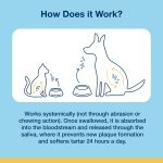 ProDen PlaqueOff Powder for Dogs & Cats, Tartar & Bad Breath Remover 100% Natural Teeth Cleaner and Plaque Remover 60 g - Image 4