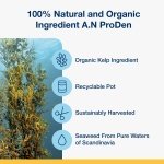 ProDen PlaqueOff Powder for Dogs & Cats, Tartar & Bad Breath Remover 100% Natural Teeth Cleaner and Plaque Remover 60 g - Image 3