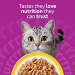WHISKAS Adult Wet Cat Food in Jelly 40x85g Poultry Feasts - Image 5