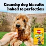 Pedigree Biscrok Multi Mix - Dog Treats - Bone-Shaped Biscuits - 500 g - Image 7