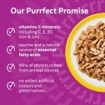 WHISKAS Adult Wet Cat Food in Jelly 40x85g Poultry Feasts - Image 7