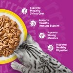 WHISKAS Adult Wet Cat Food in Jelly 40x85g Poultry Feasts - Image 6