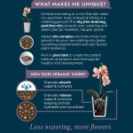 Orchid Potting Mix 8L - Image 3