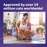 FELIWAY Classic 30 Day Cat Calming Odourless Refill for Pheromone Diffuser, 48ml - Helps Solve Common Signs of Stress in Cats & Kittens, Veterinary Recommended, Drug-free, Clinically Proven - Image 5