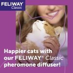FELIWAY Classic 30 Day Cat Calming Odourless Refill for Pheromone Diffuser, 48ml - Helps Solve Common Signs of Stress in Cats & Kittens, Veterinary Recommended, Drug-free, Clinically Proven - Image 9