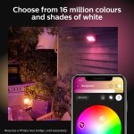 Philips Hue White & Colour Ambiance Discover Outdoor Floodlight, Smart Outdoor Lighting with App and Voice Command, Adjustable Garden Light - Image 5