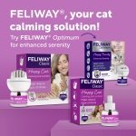 FELIWAY Classic 30 Day Cat Calming Odourless Refill for Pheromone Diffuser, 48ml - Helps Solve Common Signs of Stress in Cats & Kittens, Veterinary Recommended, Drug-free, Clinically Proven - Image 2
