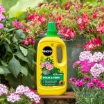 Miracle-Gro Pour and Feed Liquid Plant Food, 1L - Image 5